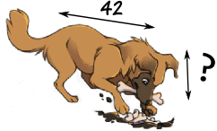 Drawing of a dog with body length 42 and an unknown head length marked with a question mark.