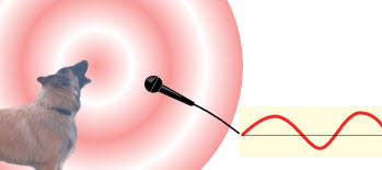 Dog barking into a microphone with a representation of sound waves in the air