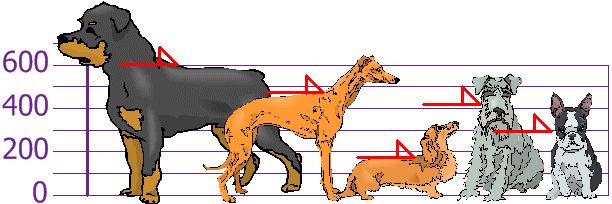 Bar chart showing five dogs of varying heights from 170mm to 600mm