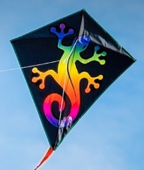Diamond-shaped kite with left and right angles marked to show they are the same size