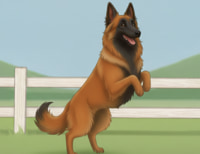 corresponding angles