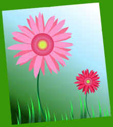 Pink flowers blooming on a tree branch in spring