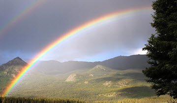 Vibrant rainbow arching over a green landscape