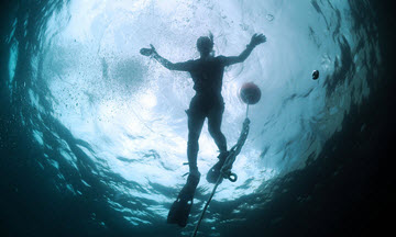 Underwater view looking up at the surface showing the sky compressed into a circular window.